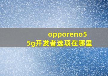 opporeno5 5g开发者选项在哪里